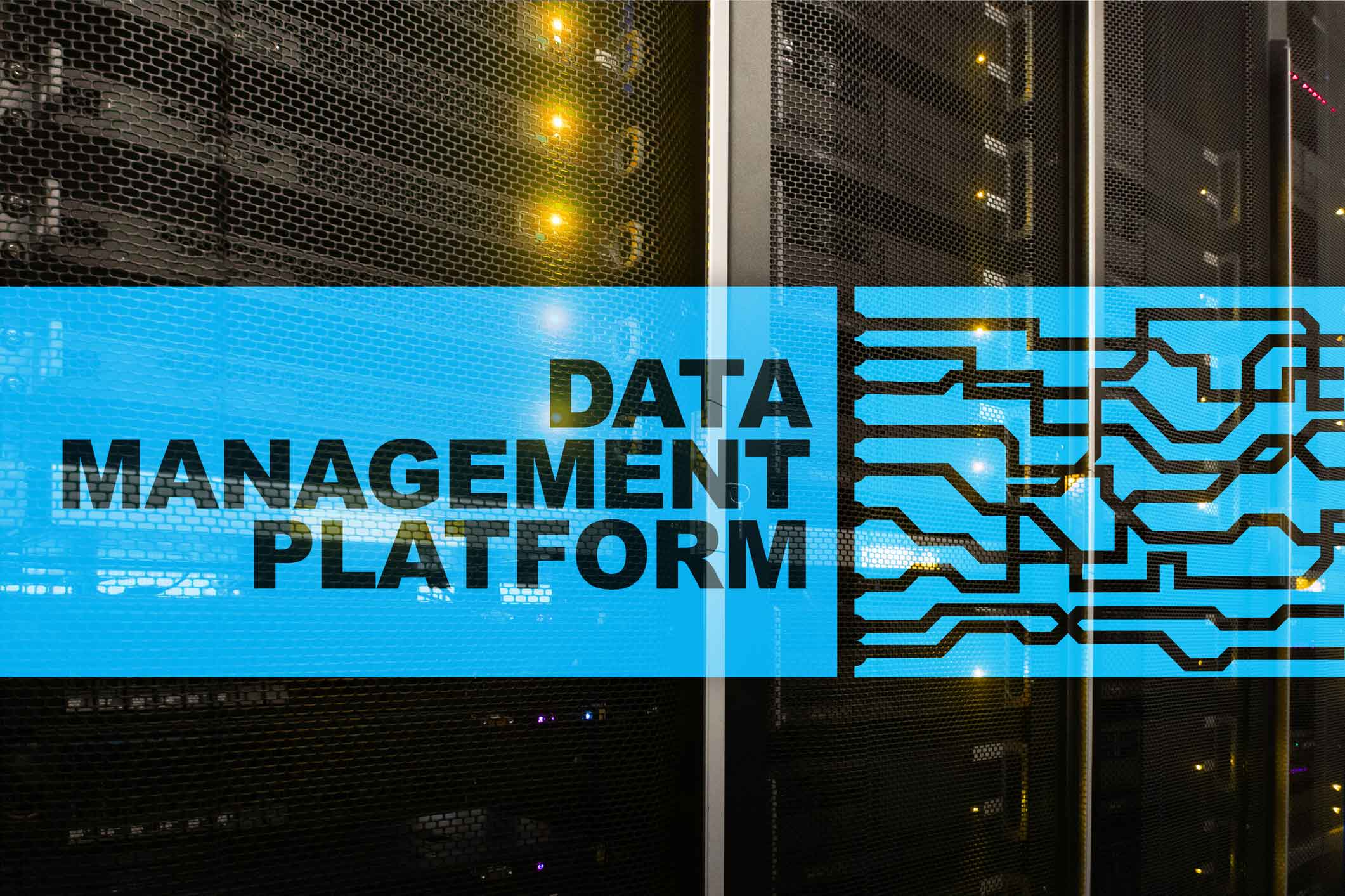 Ecommerce Data Management