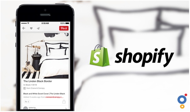 How to create a profitable Shopify store from scratch?